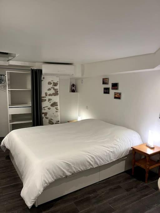 Appartement Climatise Albi - Centre ภายนอก รูปภาพ