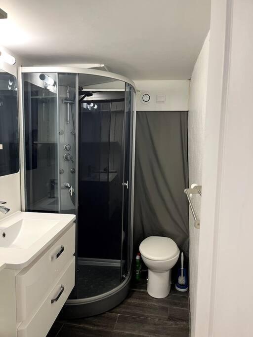 Appartement Climatise Albi - Centre ภายนอก รูปภาพ